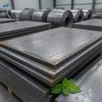 Stainless Steel Hot Rolled (HR) Sheets & Coils