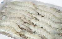 Frozen Vannamei Shrimps