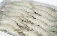 Frozen Vannamei Shrimps