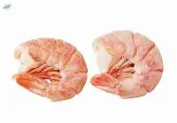 PNG Pink & Brown Shrimps