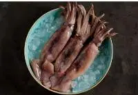 Whole Squid