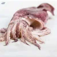 Cleaned Squid