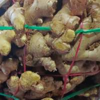 Whole Fresh Ginger