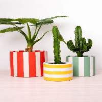 Planters Set SH-PS168