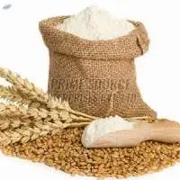 High Quality Wheat Flour