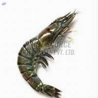 Frozen Black Tiger Shrimp