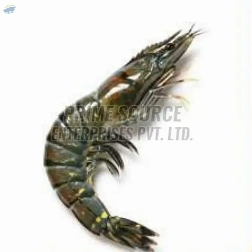 Frozen Black Tiger Shrimp