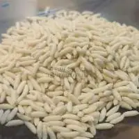White Fortified Rice Kernels Frk