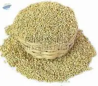 Pearl Millet Seeds