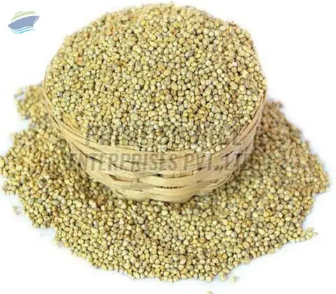 Pearl Millet Seeds