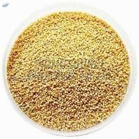 Foxtail Millet Seeds