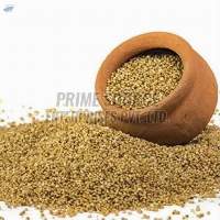 Barnyard Millet Seeds