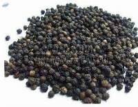 Black Pepper Seeds