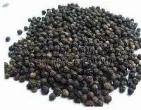 Black Pepper Seeds