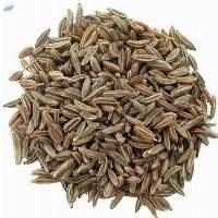 Cumin Seed