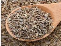 Dill Seeds