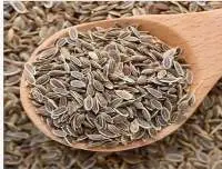 Dill Seeds