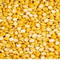 Chana Dal (Split Chickpea)