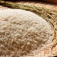 Sharbati Steam Rice