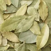 Bay Leaf