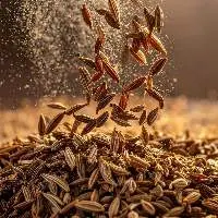 Cumin Seeds