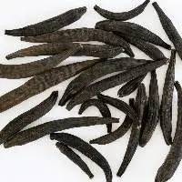 Marathi Moggu
