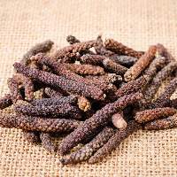 Long Pepper