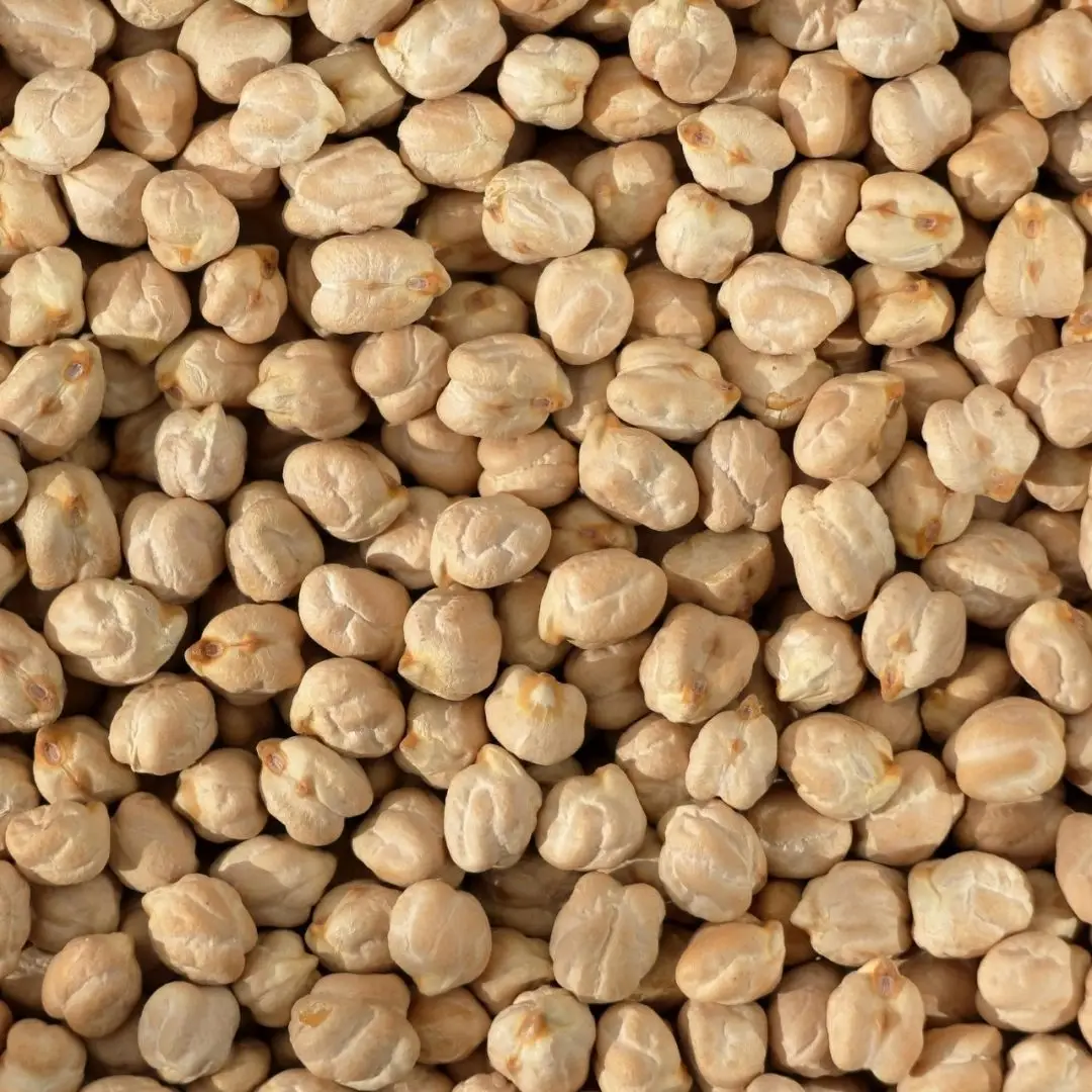 Chickpeas White / Black