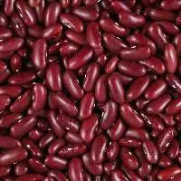 Red Rajma