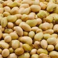 Soybeans