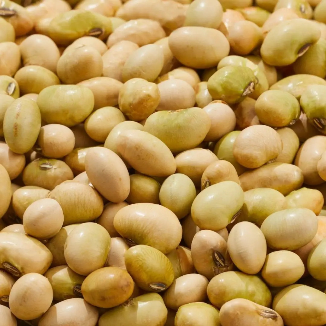 Soybeans