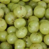 Amla