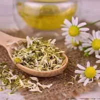 Dry Chamomile