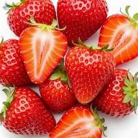 Fresh Strawberry