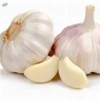 Fresh Garlic