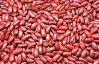 Red Kidney Beans