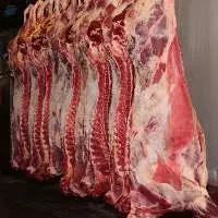 Fresh Halal Beef Meat 
