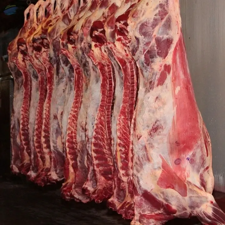 Fresh Halal Beef Meat 