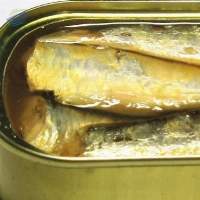 Canned Sardine In Vegetable Oils