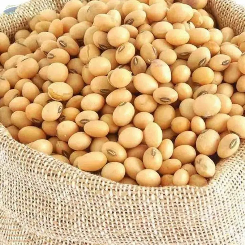 Wholesale Soybeans