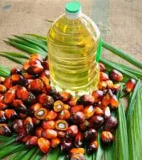 Refined Palm Oil