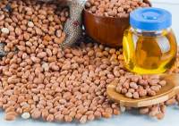 Peanut Oil  