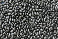 Black Kidney Beans