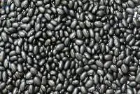 Black Kidney Beans