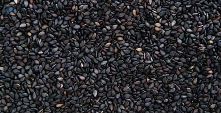 Black Cumin Seed