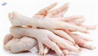 Wholesale Halal Chicken Feet (Chicken Paws)