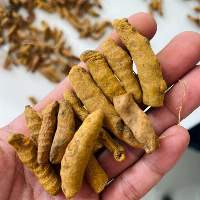 Turmeric (First Grade)