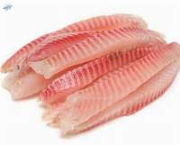 Premium Frozen Fish Fillets