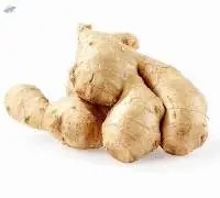 Fresh Ginger