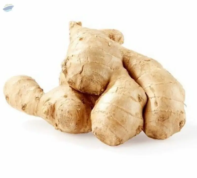 Fresh Ginger